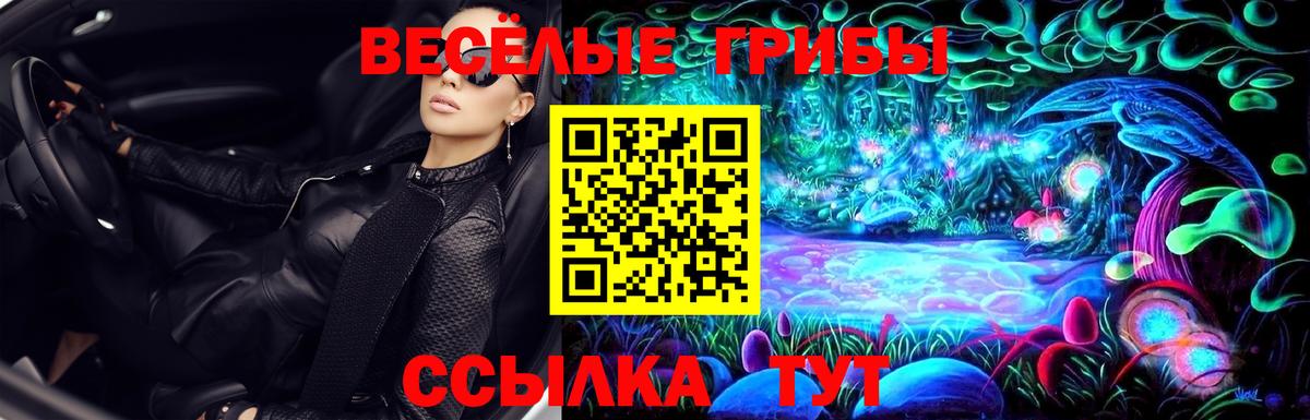 Псилоцибиновые грибы ЛСД Касимов