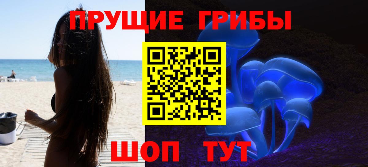 Касимов  Галлюциногенные грибы Psilocybe  Вход с VPN 